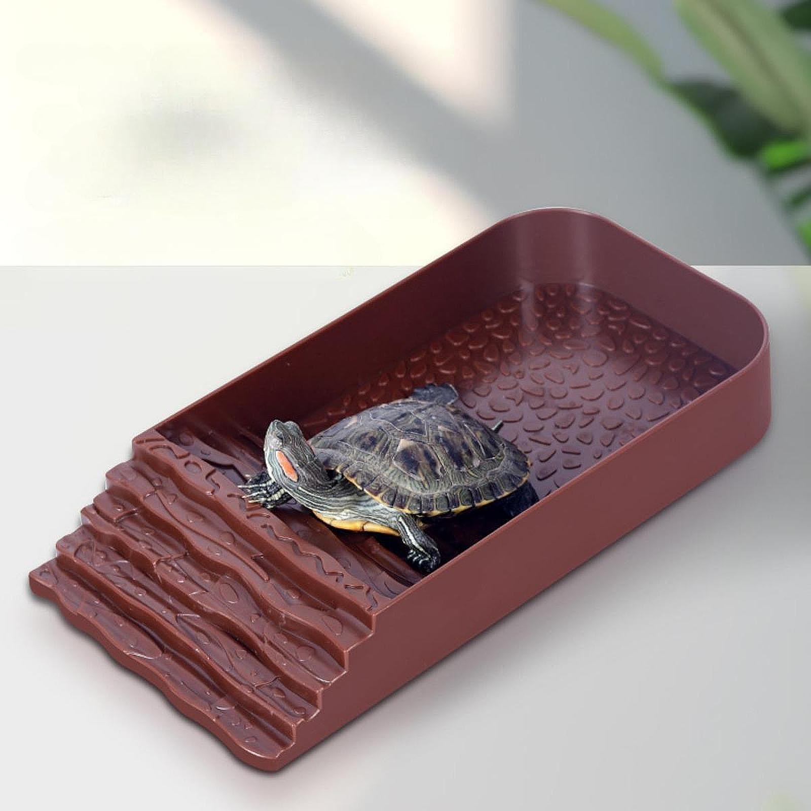 Large Turtle Water Dish Reptil - đánh giá và giá Feeding